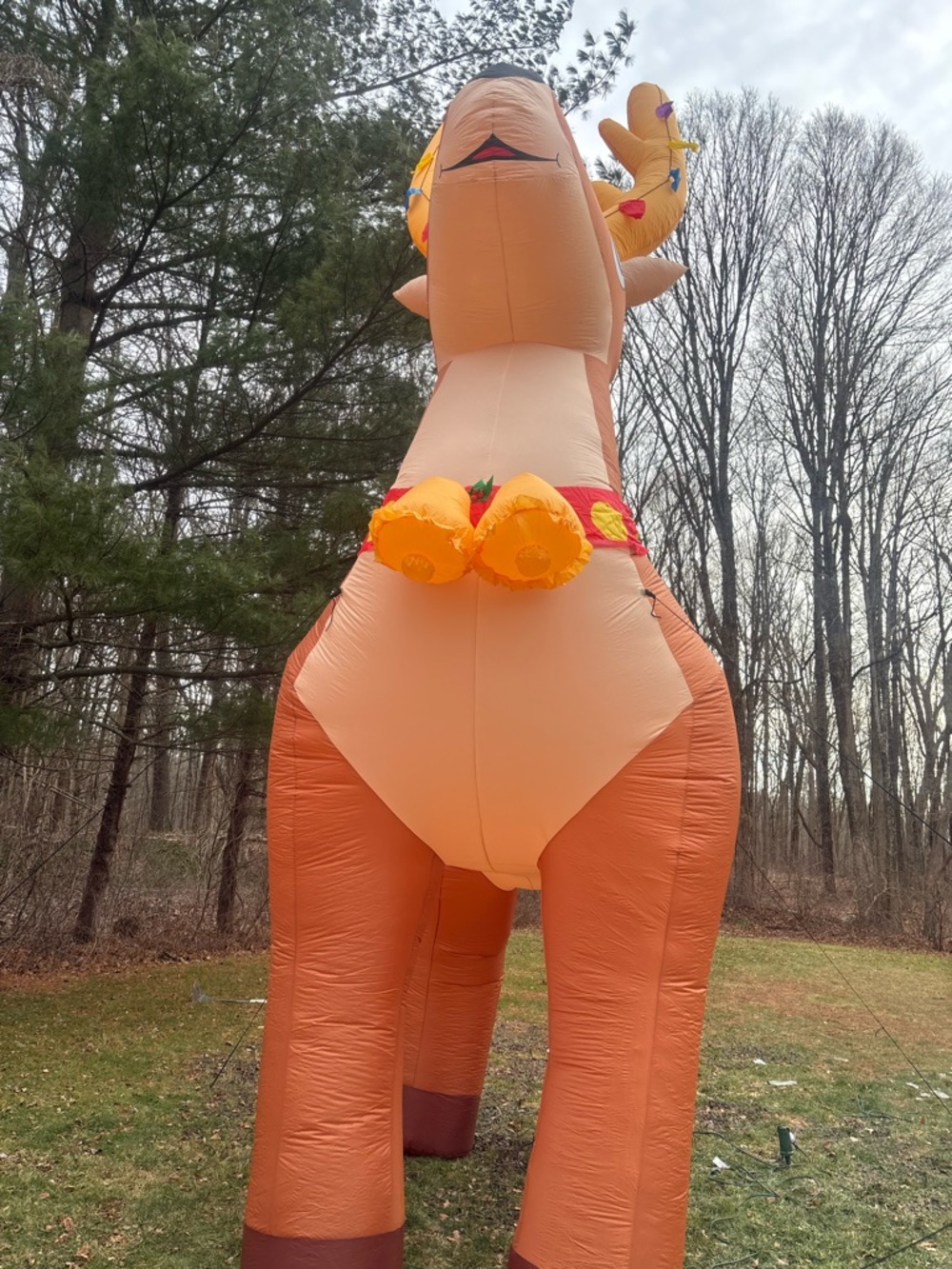 Meet your Posher, Karla